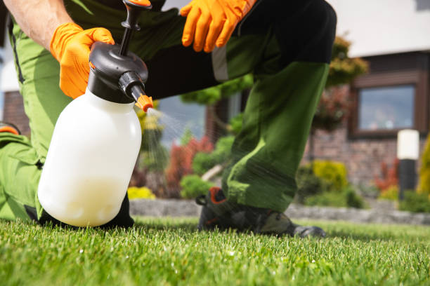 Professional Pest Control in South Ogden, UT