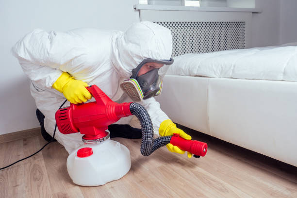 Pest Control for Restaurants in South Ogden, UT