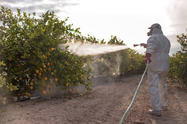 Best Mosquito Control Services  in Soh Ogden, UT