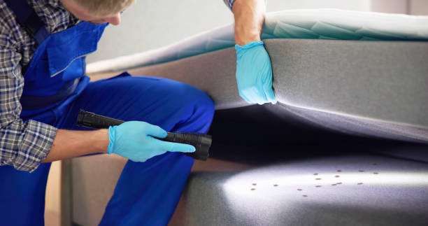 Best Emergency Pest Control  in Soh Ogden, UT
