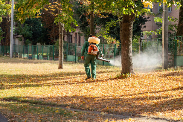 Pest Control Cost in South Ogden, UT